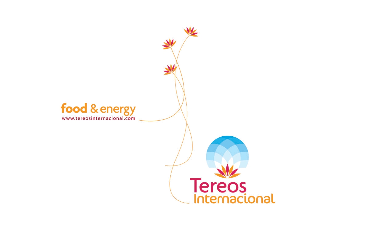 Tereos se lance en Chine