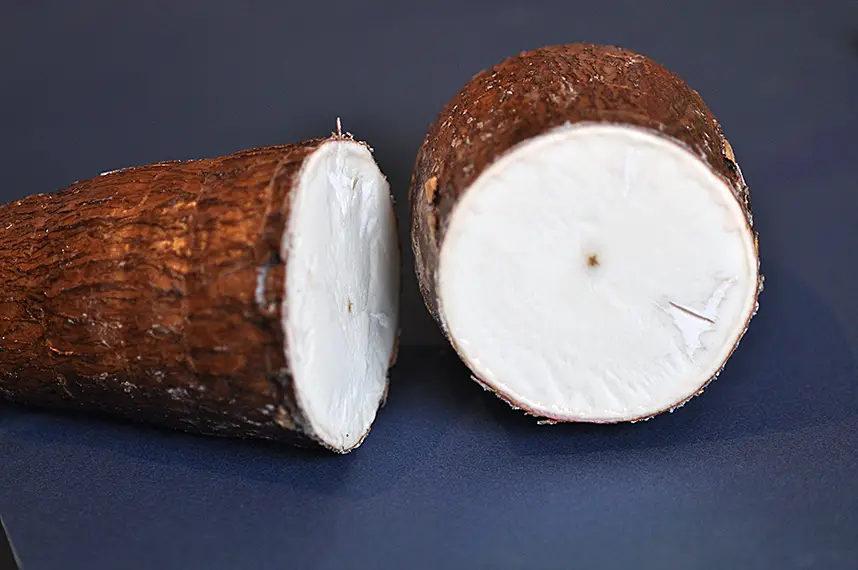 La Thaïlande exporte son manioc vers la Chine