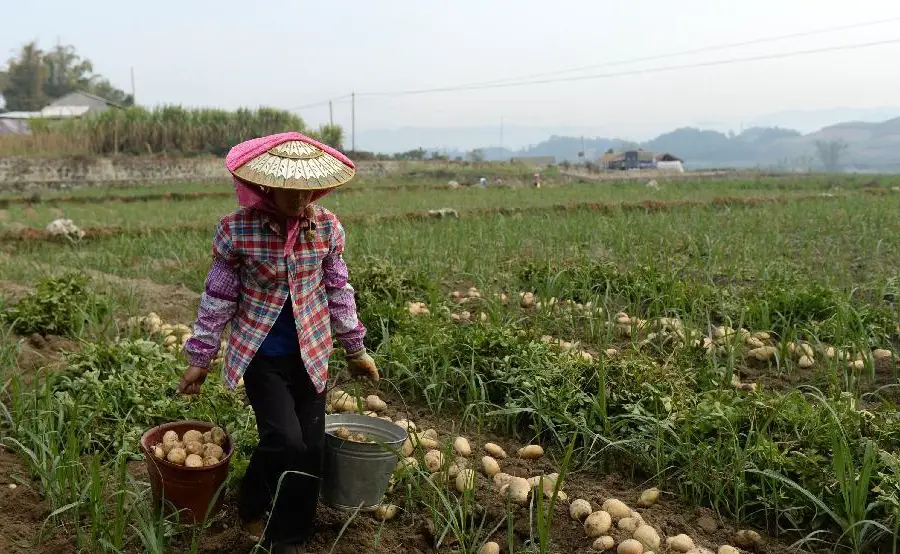 La Chine s’efforce d’améliorer la vie rurale dans sa campagne de modernisation