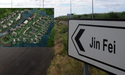 Les travaux du projet chinois Jin Fei débutent cette année