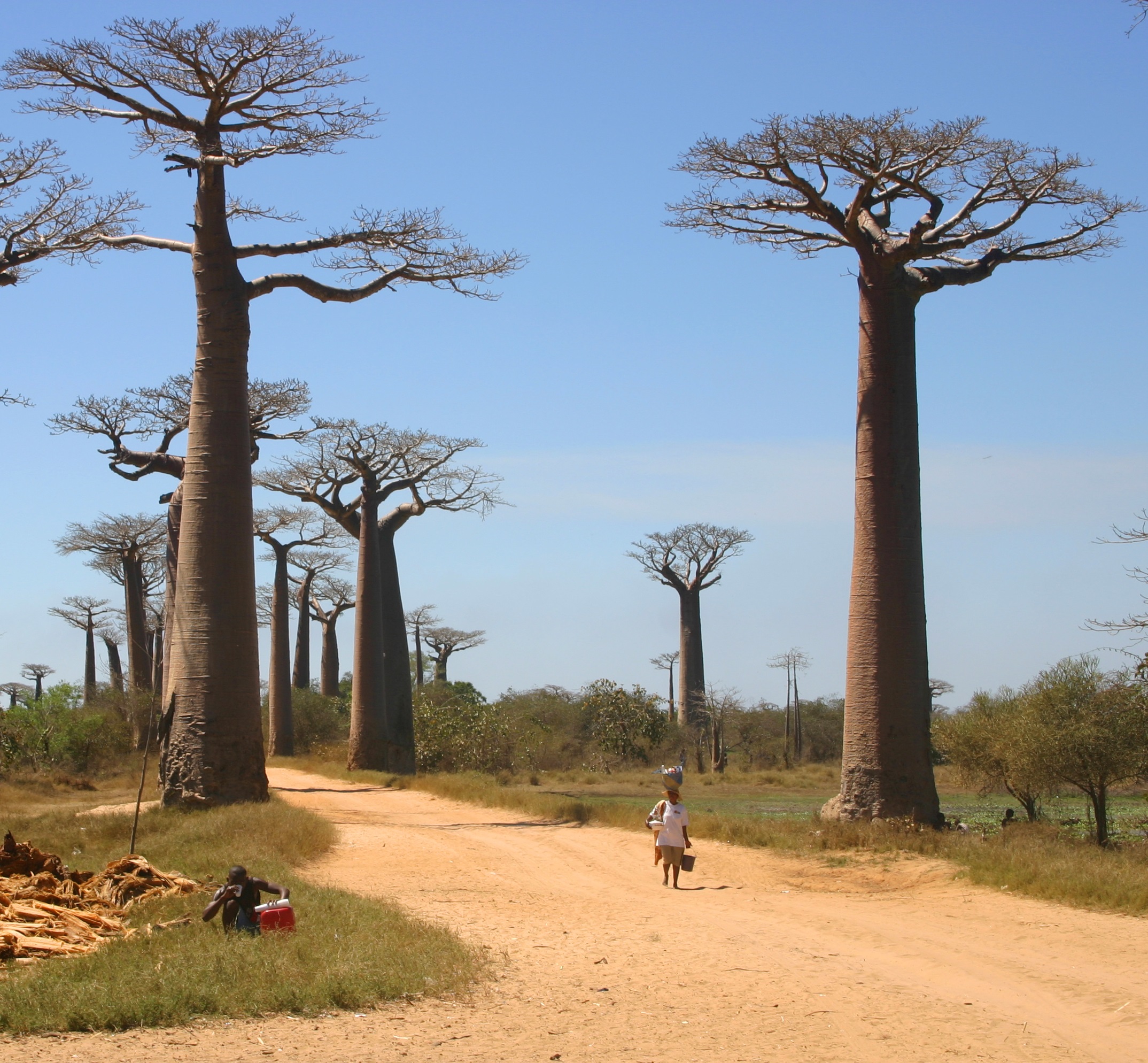 Madagascar : Des projets chinois se mettent en place à Toliara