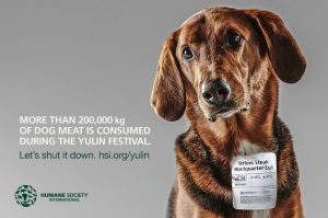 Stop Yulin Dog Meat Festival