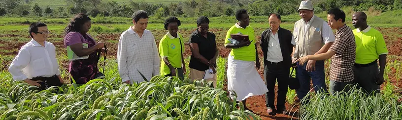 Face à l’augmentation de la population et à l’évolution du climat, les agriculteurs apprennent de nouvelles méthodes dans le domaine agro-alimentaire. (FAO)