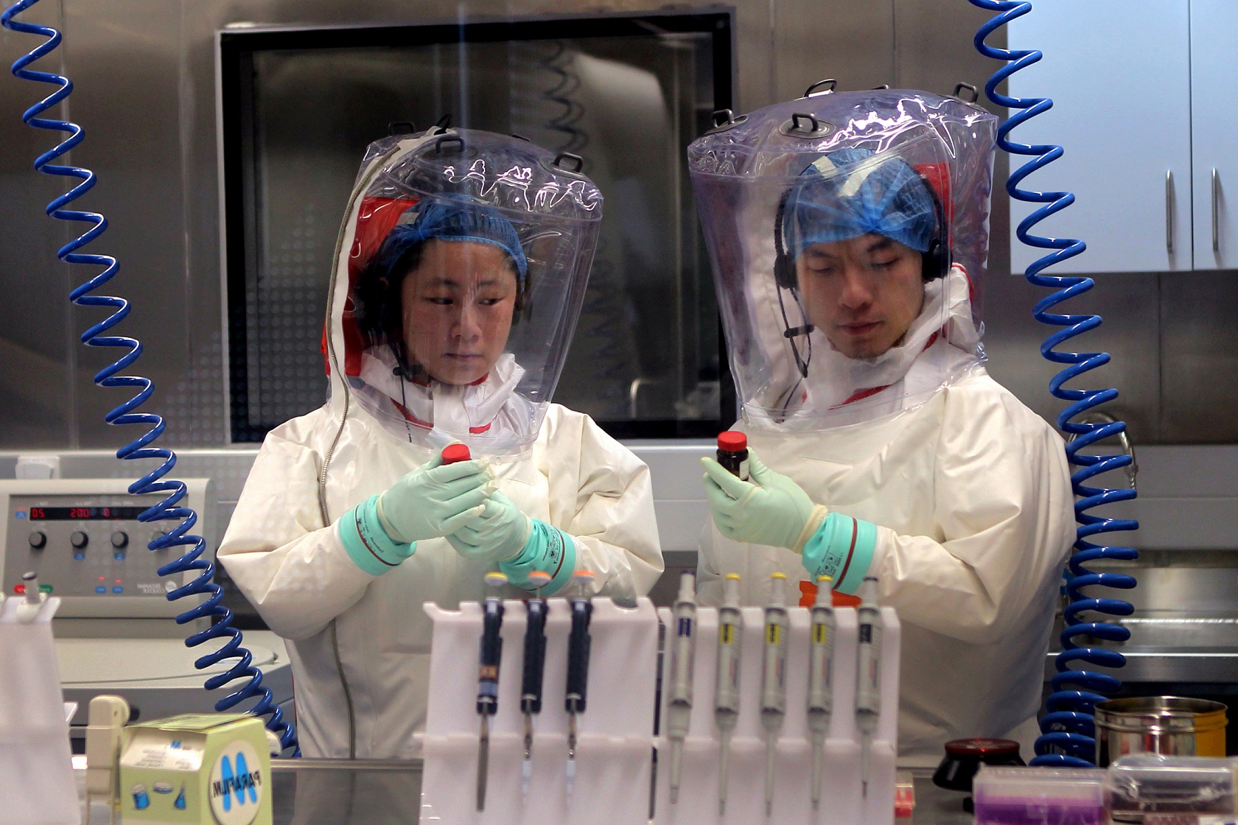 Un virus proche d’Ebola découvert en Chine
