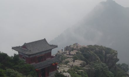 Les autorités du Shandong encouragent le public à « adopter » des arbres anciens