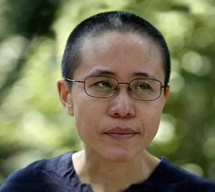 Liu Xia « de retour » à Beijing après sa « disparition »