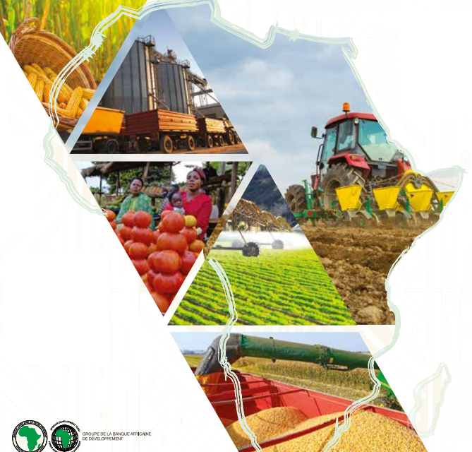 « Trois leçons tirées de la Chine dont pourrait bénéficier l’Afrique »