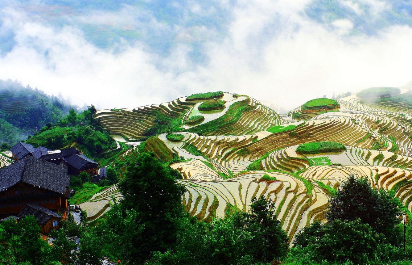 La Chine saluée pour sa protection du patrimoine agricole