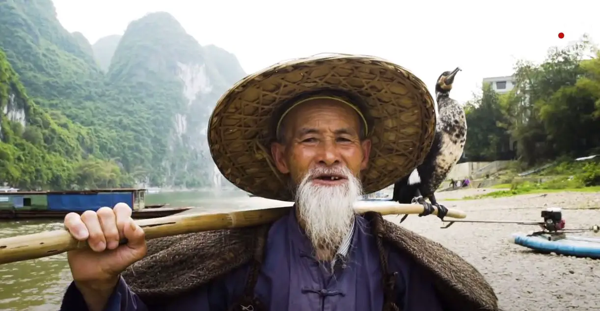 «L’art de pêcher avec les oiseaux en Chine»