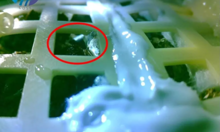Les chinois auraient fait pousser du coton sur la Lune
