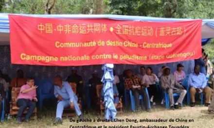 La contribution de la Chine à la lutte contre le paludisme en Centrafrique: actualité et pertinence