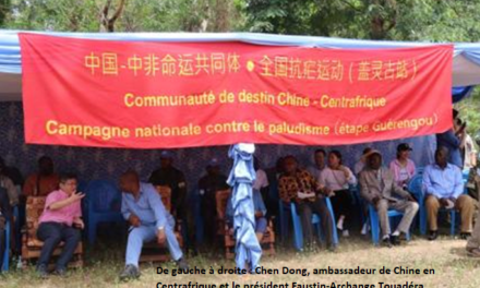 La contribution de la Chine à la lutte contre le paludisme en Centrafrique: actualité et pertinence
