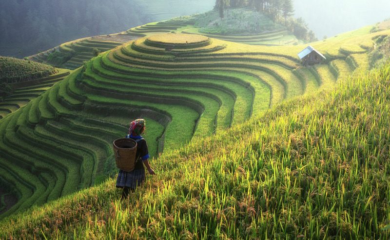 L’égalité des sexes dans le contexte du changement climatique et perte de biodiversité