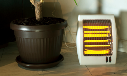 Hausse de la consommation d’électricité cette année malgré la pandémie