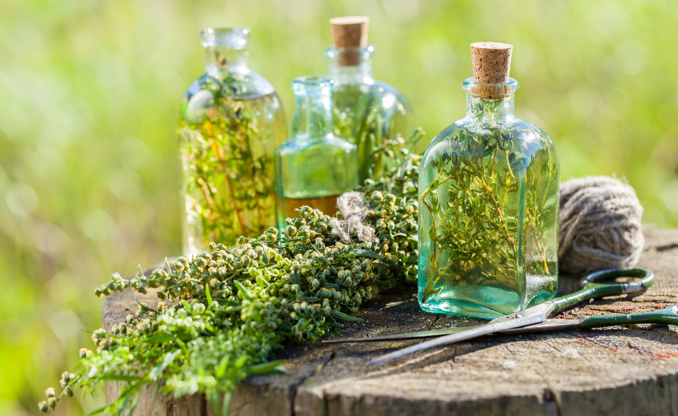 Les produits à l’absinthe, cadeaux traditionnels offerts au festival Duanwu