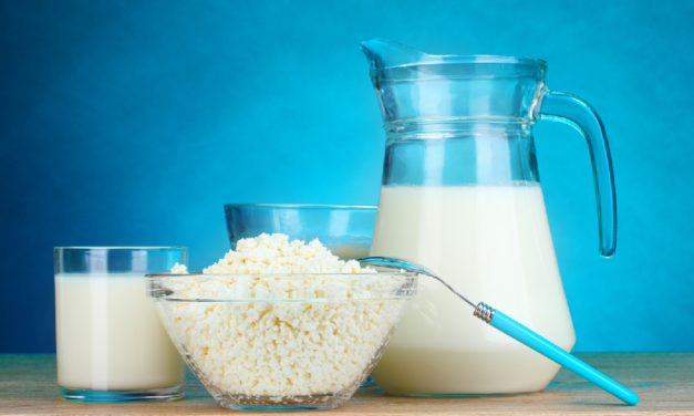 Fonterra vendra ses fermes laitières à la Chine