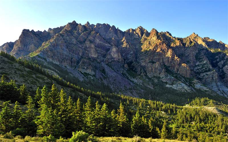 L’Est des monts Helan, région viticole émergente du nord-ouest de la Chine