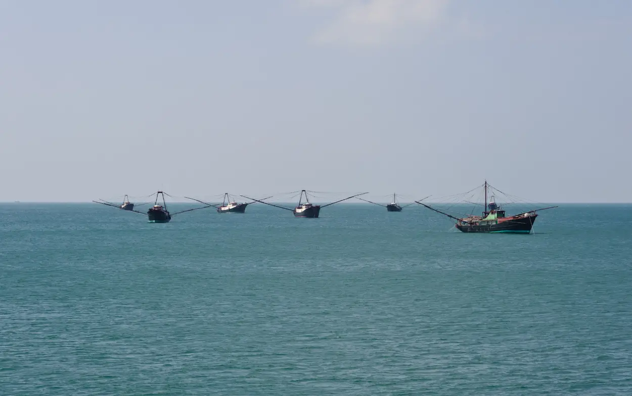 Début de l’interdiction de pêche annuelle en mer de Chine méridionale