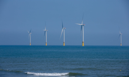 Production d’une éolienne offshore de Shanghai Electric conçu pour le climat chinois