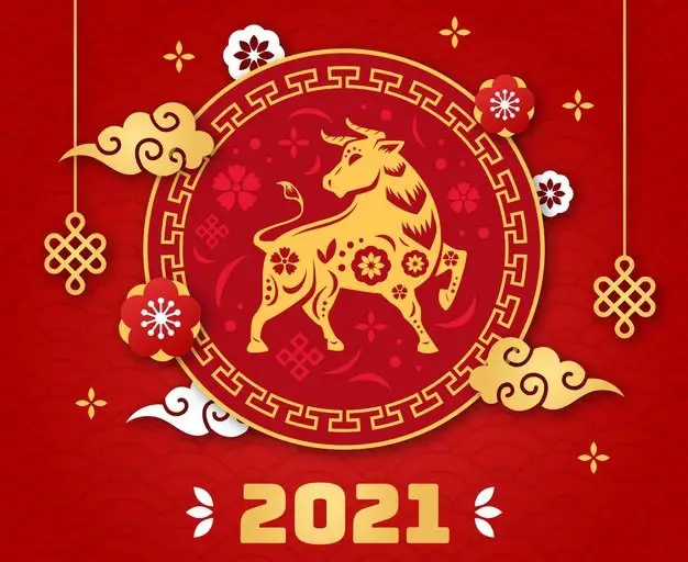 Le Nouvel an lunaire en Chine : un moment de coutumes
