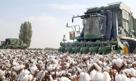 L’Union européenne veut interdire les produits issus du travail forcé