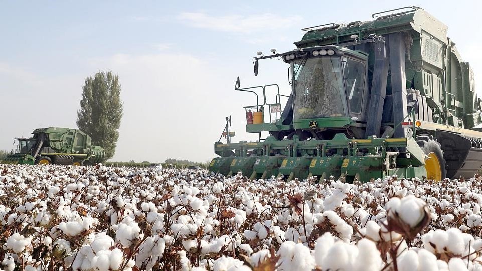 L’Union européenne veut interdire les produits issus du travail forcé