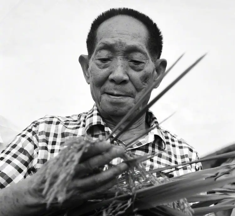 Le «père du riz hybride», Yuan Longping s’en est allé