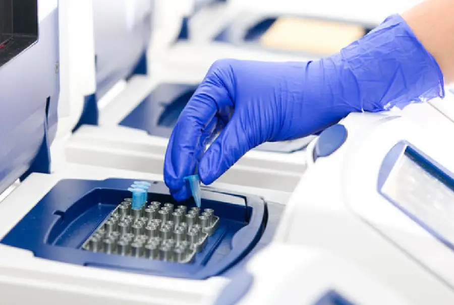 Le marché chinois des systèmes de PCR au point de service va augmenter jusqu’en 2025