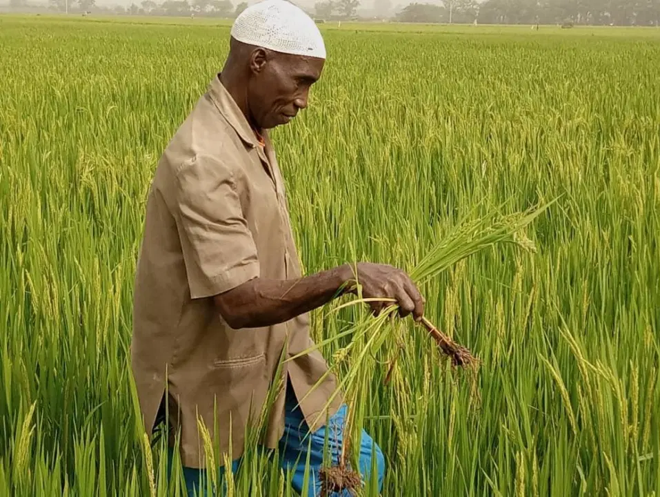 Le succès de la réduction de la pauvreté en Chine : perspectives pour l’Afrique.