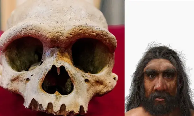 Un ancien crâne vieux de 140 000 ans retrouvé caché dans un puits en Chine