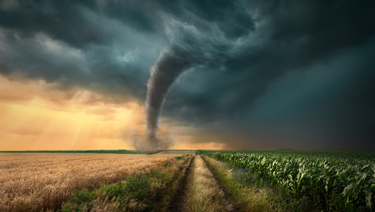 Une tornade fait un mort et 16 blessés