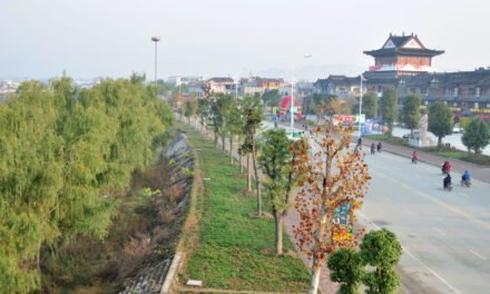 L’impact économique des inondations dans au Henan pourrait être de courte durée