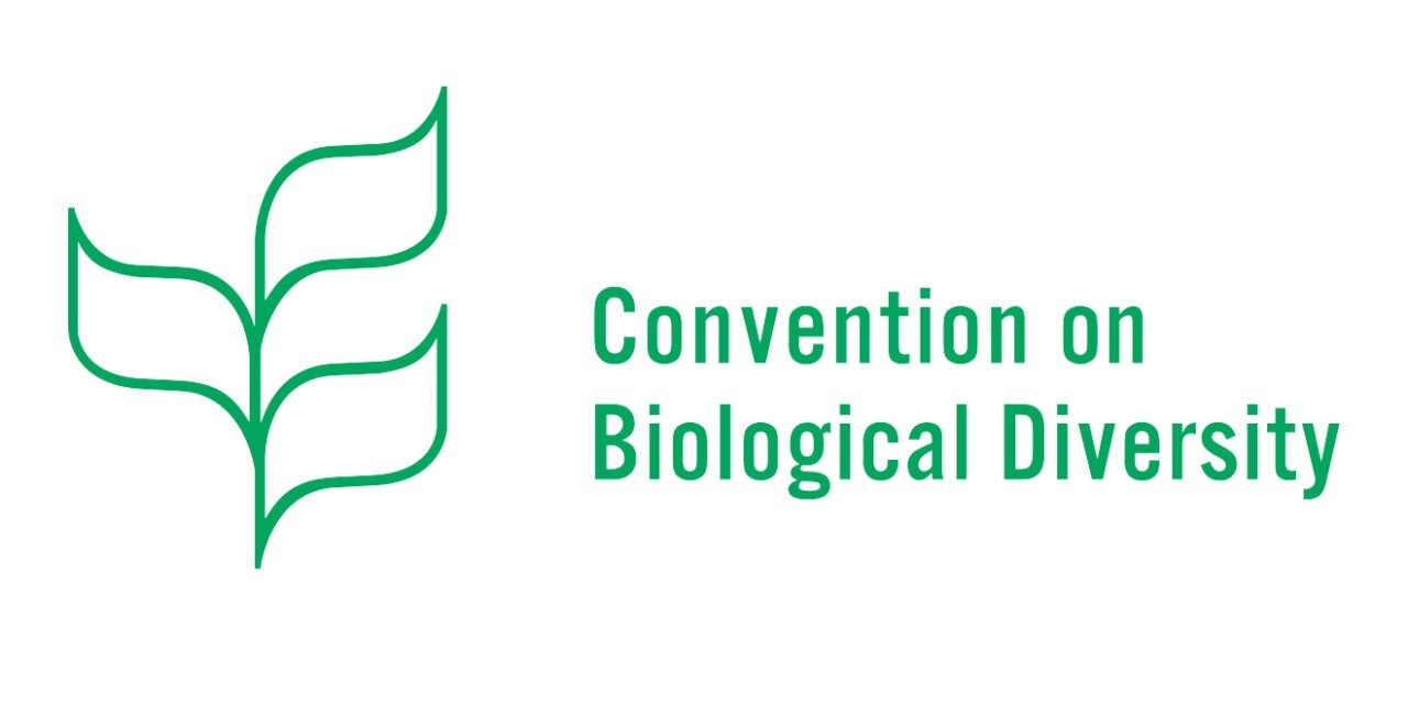 La Chine accueille la COP15 biodiversité en mode virtuel