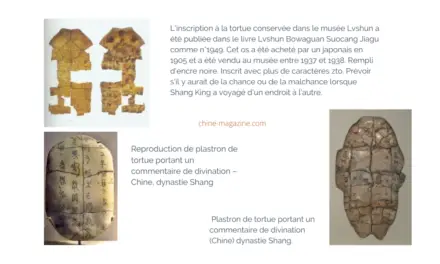 Les inscriptions sur os d’oracle au registre de la Mémoire du monde de l’UNESCO