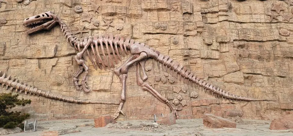 Un embryon de dinosaure parfaitement fossilisé retrouvé en Chine