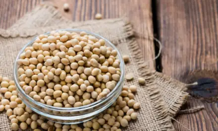 Baisse des importations de soja en provenance du Brésil