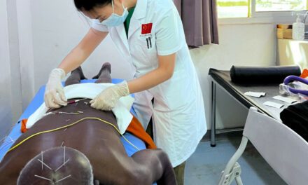 Burkina/CHU de Tengandogo: Ma Lan guérit les malades grâce à la médecine traditionnelle chinoise