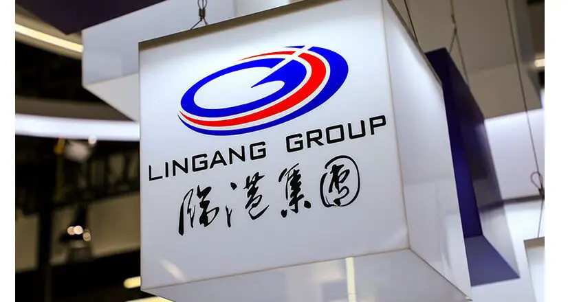 Lingang aide les entreprises étrangères à réaliser une croissance de haute qualité en Chine