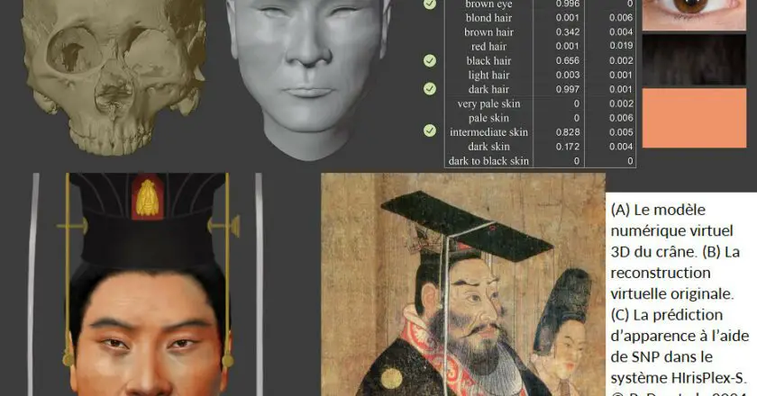 Le visage d’un empereur de la dynastie Zhou reconstruit grâce à son ADN
