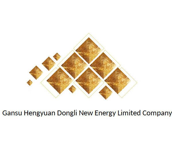 Gansu Hengyuan Dongli New Energy Limited Company a participé au Sommet mondial de l’énergie du futur et a annoncé son plan d’investissement industriel