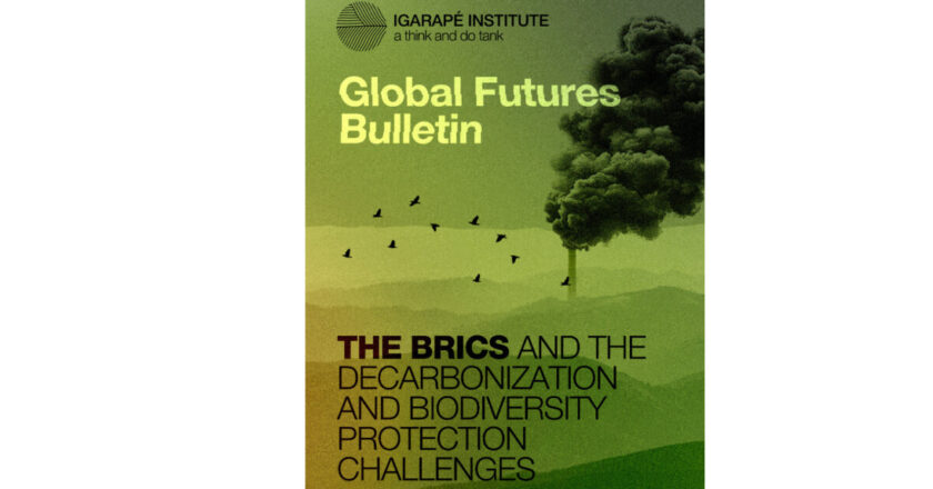 Tirer parti des synergies : Comment les BRICS peuvent stimuler biodiversité et solutions climatiques