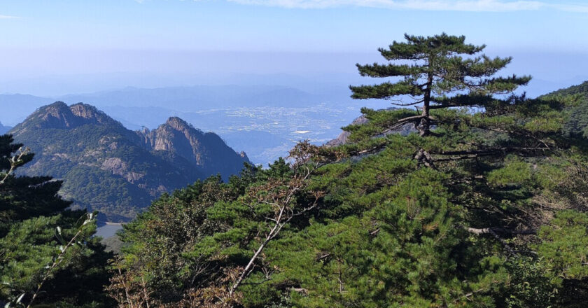 Huangshan Tourism suscite un vif intérêt chez les visiteurs de l’ITB Berlin