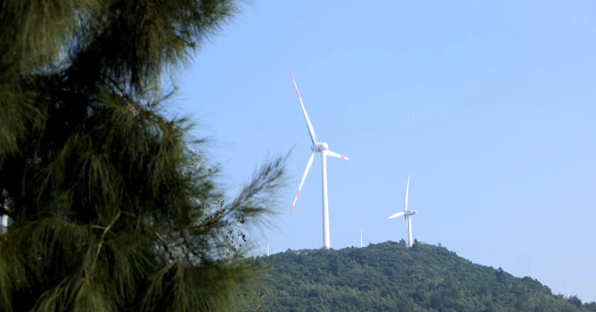 Taizhou Power Supply Company alimente Dachen, la première île chinoise sans émission de carbone, pour promouvoir l’avenir de l’énergie propre