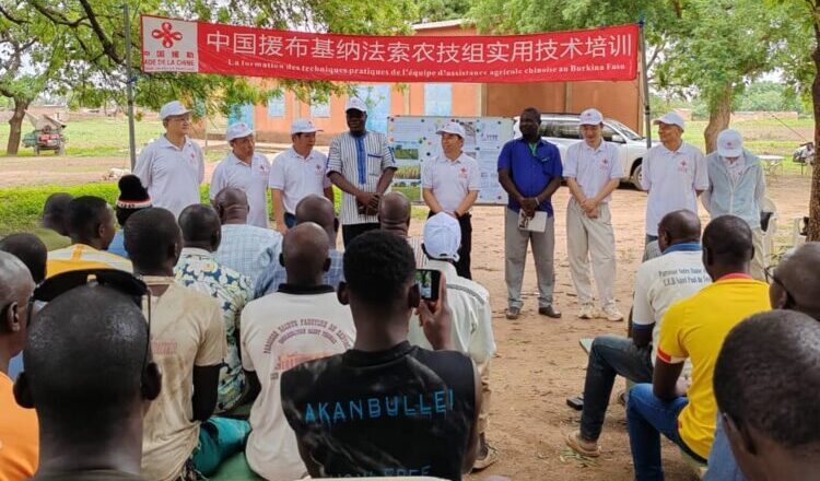 Coopération sino-burkinabè: Boulbi accueille une formation agricole innovante avec l’appui de la mission agricole chinoise